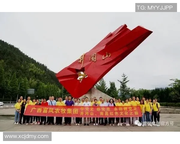 张帆:在时代浪潮中追寻梦想与坚持的力量